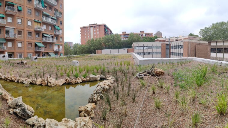 Coberta verda de l'EBM Pere Calafell, al districte de Sant Martí